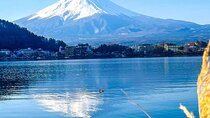 Private 21-days Japan Holiday from Tokyo