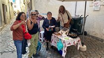 Guided Walking Tour in Lisbon