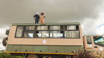 Overland Game Drive in Nairobi National Park