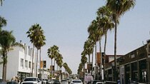 Explore Muscle Beach Venice Canals on Los Angeles Bike Tour