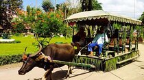 Villa Escudero: Cultural Show & Waterfall Buffet Experience