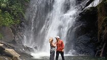 Sinharaja Rain Forest Waterfall Tour 