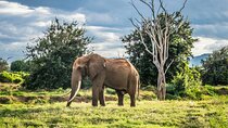 6 Days - Lake Manyara, Serengeti, Ngorongoro & Tarangire Safari
