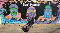 Fat Tire 2 Seater Rental in Houston