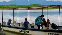 Damas Island Quepos Authentic Local Mangrove Boat Tour