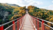 DMZ Tour from Seoul:3rd Tunnel,North Korea View,Suspension Bridge