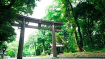 Tokyo Top 5 Sights in 6hr Licensed Guide Private Walking Tour