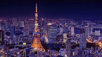 Tokyo City and Ashikaga Flowers Park or Kawagoe Private Day Tour 