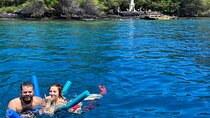 Private Charter Morning Snorkel and Wildlife Watch. Up to 18 Pax