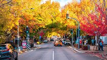 Small Group McLaren Vale and Hahndorf Tour
