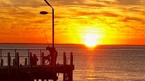 Mornington Peninsula Day Tour. Your Day Your Way. Your group only
