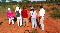 Mosi-oa-Tunya National Park Rhino Walk