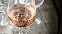 Full day wine and olive tasting with lunch in Mendoza