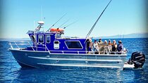 Private Charter on the Professor