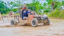 Xtreme Buggy Adventure