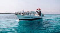 Boat Tour with BBQ on Es Trenc Beach