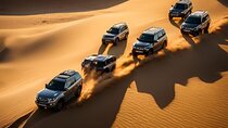 Desert Safari in Red Dunes with Camel Ride, Dinner and Shows