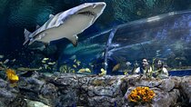 Mauritius Odysseo Oceanarium in Port Louis 
