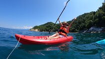 Half Day Tour with Snorkeling in Colomitos and Playa las Animas