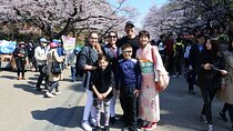Discover Tokyo Personalized Private 6 Hour Adventure