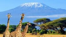3 Days and 2 Nights Private Safari to Amboseli National Park