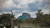 Kandy to Sigiriya Day Trip