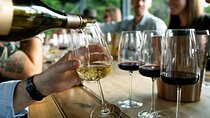 Lucca Wine Bar Restaurant Foodie Adventure