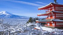 MT FUJI with Private Tour