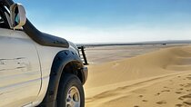 Sahara Desert Safari Experience and Sand Boarding From Cairo