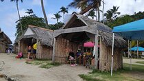 Mamey Island Beach Day in Portobelo Colon Panama 