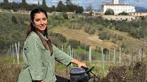 From Florence to Chianti by E-Bike:Ride Through Vineyards & Hills