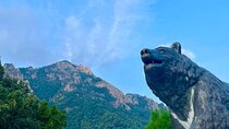 Seoraksan National Park & Nami Island