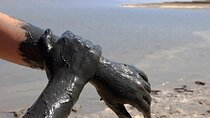 Half Day Tour to Dead Sea from Tel Aviv - small groups