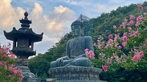 From Seoul: Mt. Seorak & Cherry Blossom & Foodie Tour