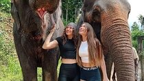 Explore Sri Lanka in 5 Days with Breakfast and Luxury Car
