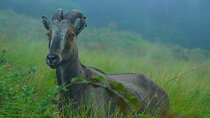 6 Days Luxury Kerala Private Group Tour