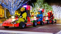Official Street Go Kart Tour Akihabara 2nd 