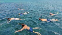 Dolphin Watching Experience and Snorkeling
