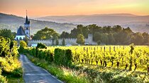 Wine along the Rhein - Half day Wine Tour from Mainz