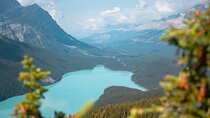 Experience the Columbia Icefield: Private Tour from Calgary