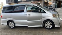 Victoria Falls Airport Transfer to Town