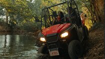 Half Day Beach & Mountain Buggy Adventure 