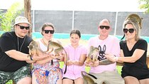 Half Day Puerto Plata City Tour and Monkey Home Visit