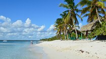 Full-Day Catalina Island Snorkeling Excursion from Punta Cana