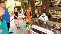 Punta Cana Tour by Bus and Coach
