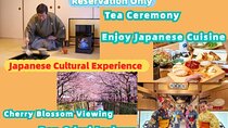 Limited-Time Tea Experience with Cherry Blossom Viewing