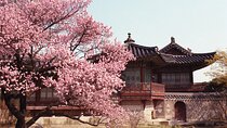 Seoul Analog Tour