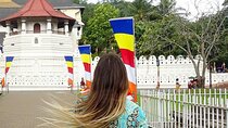 Kandy Day Trip: Colombo, Negombo, Bentota and Kalutara