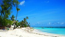 Nungwi Village & Swimming With Sea Turtle W/ Transfer - Zanzibar