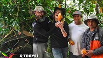 A Journey of Coffee, Tea and Chocolate Flavors in the Landscape of Cusco 